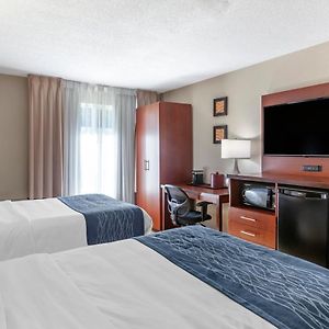 Double Room Two Double Beds Non-Smoking